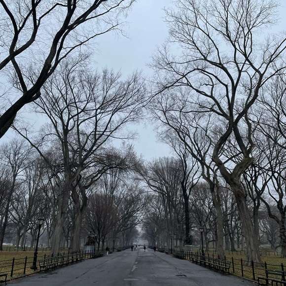 Meet your Posher, Eva - Picture 1 of 1